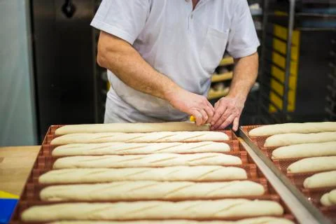 Baguette Photos