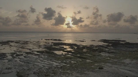 Bahamas Beach at Dusk 2 Stock Footage 129533313