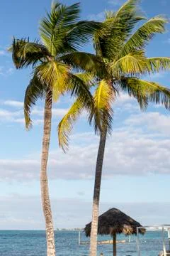 Bahamas, Cable Beach Stock Photos