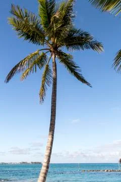 Bahamas, Cable Beach Stock Photos