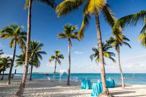 Bahamas, Cable Beach Stock Photos