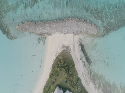 Bahamas Coasyline 스톡 동영상 76483117