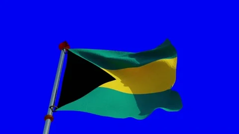 Bahama's Flag in 3D Stock Footage 142615601