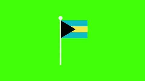 Bahamas flag animation - Vector art Video stock 146034861