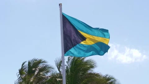 Bahamas flag blowing in the wind Stock Footage 256924556