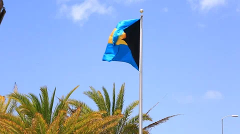 Bahamas Flag 스톡 동영상 39561151