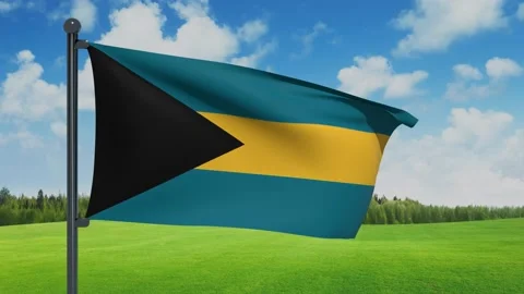 Bahamas Flag Video stock 151861858