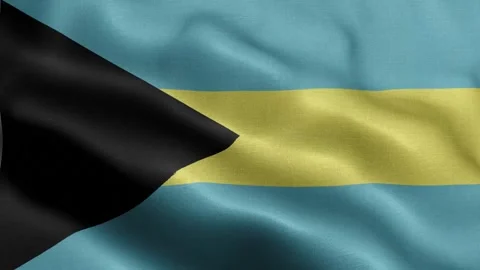 Bahamas flag Front Stock Footage 318662373