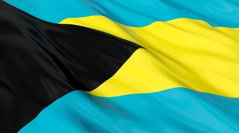 Bahamas flag Seamless 스톡 동영상 49085736