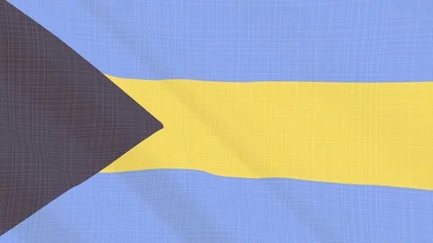 Bahamas flag waving in the wind. Background with rough textile texture Stock Footage 83855291