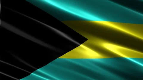 Bahamas flag waving in the wind Stock Footage 348686147