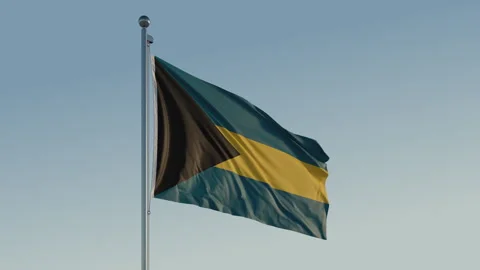 The Bahamas Nassau Flag seamless loop Cinematic Realistic Waving Blue Sky Stock Footage 313350587