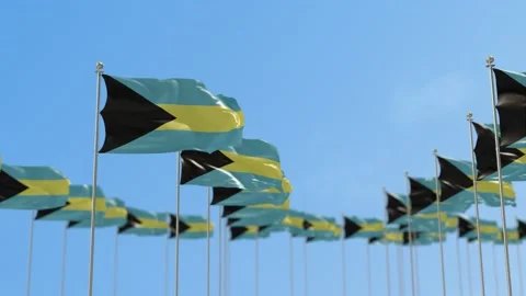 Bahamas Row Of Flags 3D Animation Stock-Footage 148620221