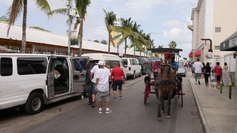 Bahamas - September 2017,Shuttle buses are waiting in the line and horse cariag Stock Footage 89596050