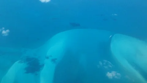 Bahamas from the sky Stock-Footage 98243602