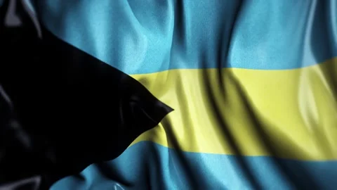 Bahamas WAVING FLAG Stock Footage 323827632