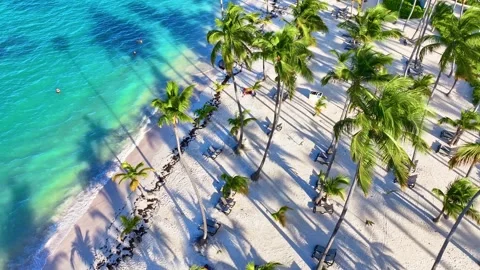 Bahamian palm trees on white sand with turquoise waves. Видео 331127204
