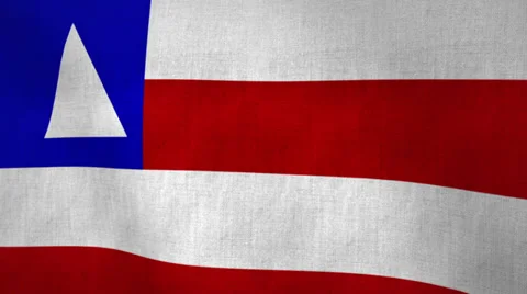 Bahia State Flag Textured (Loop-able) Stock Footage 34949699