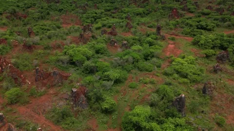 Bahoruco red mining landscape 01 Stock Footage 330173761