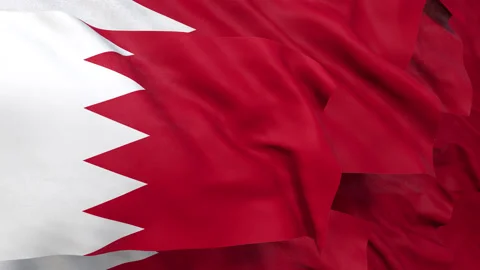 Bahrain flag Stock Footage 144981287