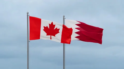 Bahrain flag Video stock 252022710