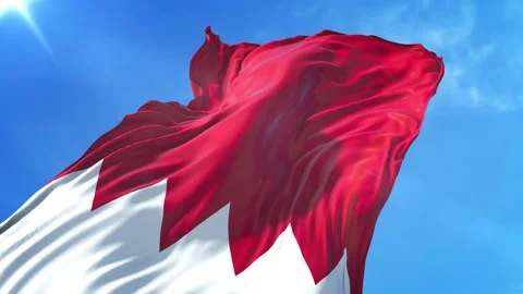 Bahrain Flag Low Angle View Video stock 295684550