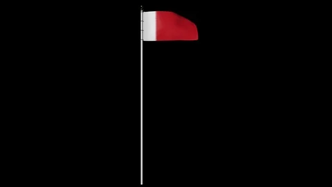 Bahrain Flag on Pole with Alpha Channel Video stock 87498027
