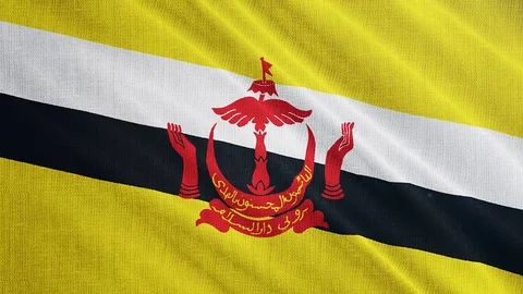 Bahrain flag is waving 3D animation.  Stock Footage 100756672
