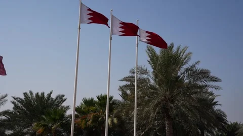 Bahrain Flags with Palm Trees Stock Footage 331165205