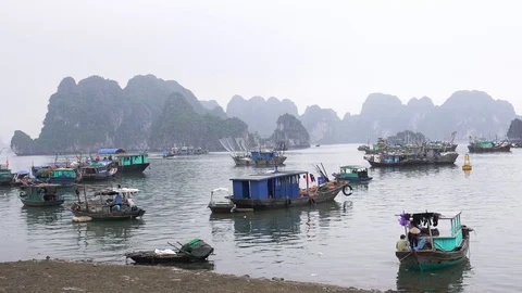 Bai Chay Stock Footage 122062612