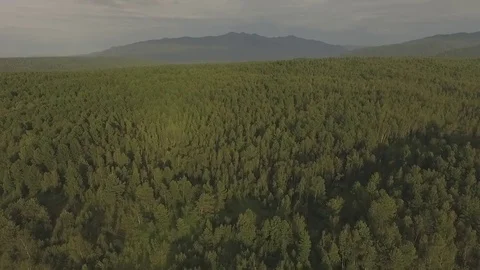 Baikal Forest - high angle aerial shot Stockbeeldmateriaal 80553379