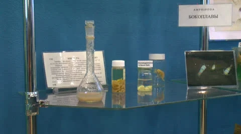 Baikal Limnological Museum Stock Footage 24281692