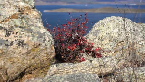 Baikal shore Stock Footage 131284988