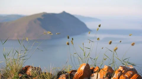 Baikal. Top view through the grass Stock Footage 65280831