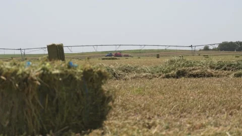 Bailor Baling in the Distance (2) Stock Footage 221861175