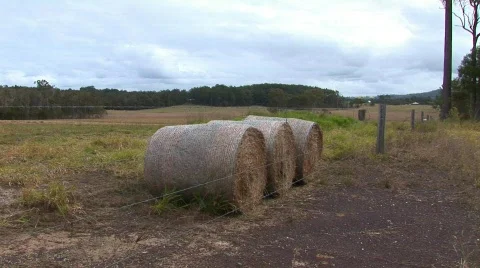 Bails hay HQ Stock Footage 493549