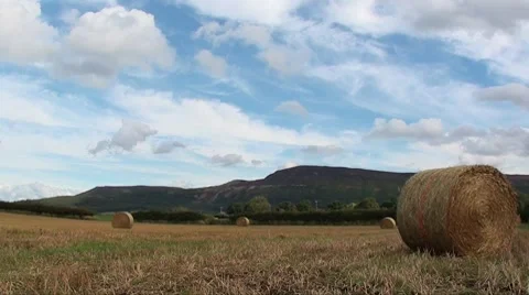 Bails of straw Stock Footage 8663229