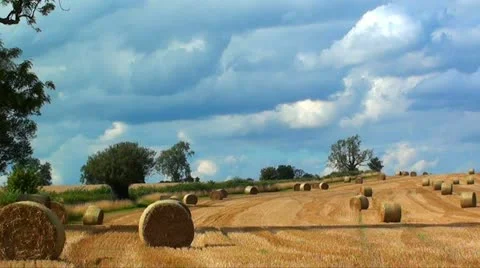 BAILS OF STRAW Stock Footage 10877339