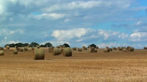 BAILS OF STRAW Stock Footage 10877441