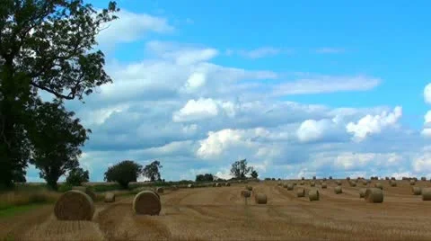 BAILS OF STRAW Stock Footage 10877628