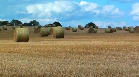BAILS OF STRAW Stock Footage 10877742