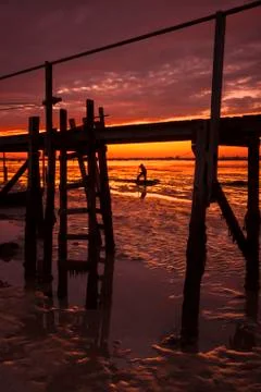 Bait digging under the setting sun Stock Photos