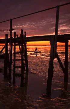Bait digging under the setting sun Stock Photos