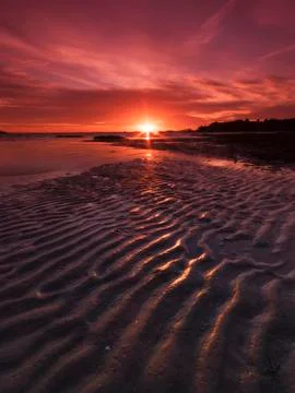 Bait digging under the setting sun Stock Photos