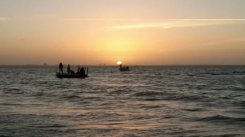 Bait fish net casting at sunrise Stock Footage 149612647