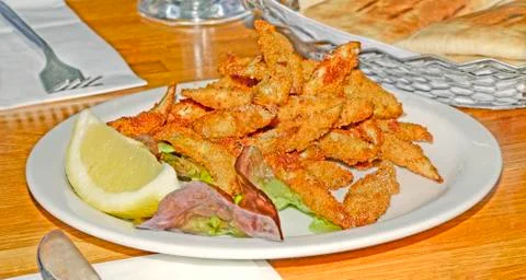 Bait fish starter Stock Photos