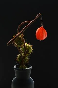 The Bait Stock Photos