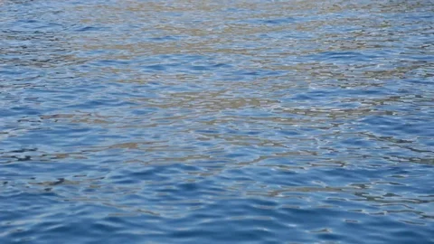 Bait In The Water Stock Footage 104804479