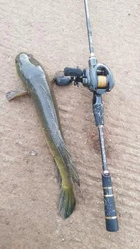 Baitcasting Stock-Fotos