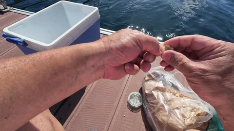 Baiting a fishing hook. Stock Footage 278987115